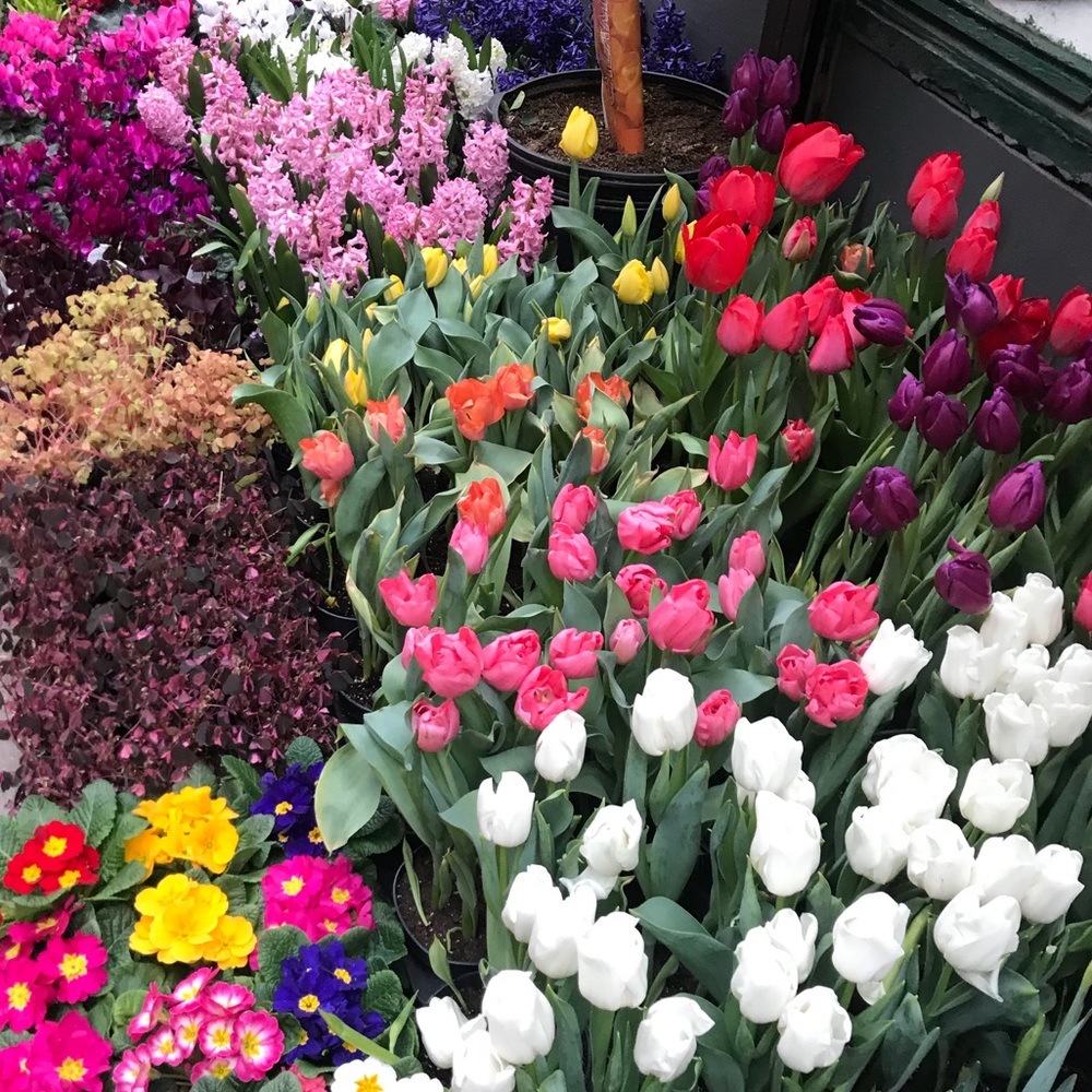 Meet your Posher, Samantha